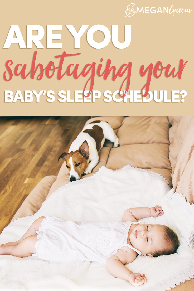 Your Baby Sleep Schedule Megan Garcia