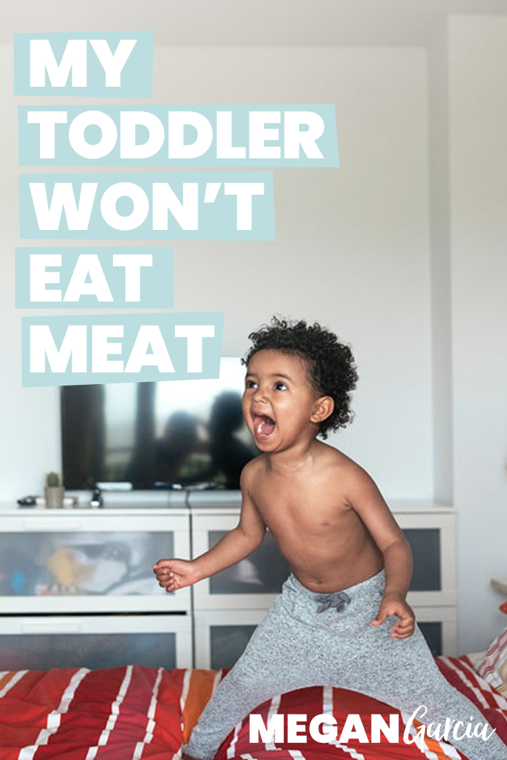 Toddler Won't Eat Meat: Tips For Picky Eating | Megan Garcia