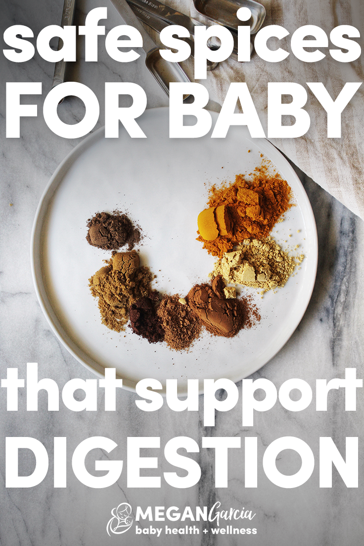 Safe Spices For Baby That Support Digestion: Curry Powder Recipe, 6+ Months - Megan Garcia